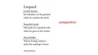 Selective Exam Poem Lesson: Leopard