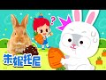 [趣味探索]吃便便的兔子 | 🐰兔年 | 观察大自然 | 动物儿歌 | Kids Song in Chinese | 兒歌童謠 | 卡通動畫 | 朱妮托尼童話故事 | JunyTony