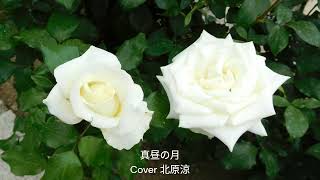 真昼の月/村上加代子/Cover北原涼