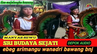 manyarsewu sri budaya sejati🫰ebeg srimangu wanadri