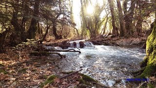 17 km Menalon Trail hiking  Route from Vitina To Elati by the Mylaontas river  από Βυτίνα προς Ελάτη