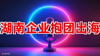 湖南企业“抱团出海” 政策宣讲会