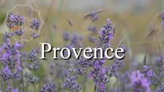 Provence | Wine region | Wine basic | Wine study