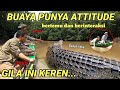 perdana bertemunya panji petualang dan buaya fenomenal RISKA,berinteraksi di alam,TAKJUB❗