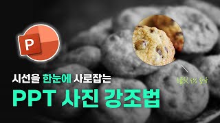 [피꿀] 시선을 한눈에 사로잡는 PPT 사진 강조법