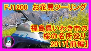 FJ1200　お花見ツーリング 福島県いわき市の桜の名所巡り 2017【前編】