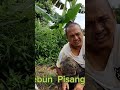 vlog kebun Pisang,full episodes boleh subscribed channel nua royal