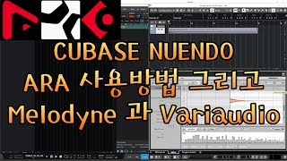 큐베이스 누엔도 ARA 사용방법과 Melodyne 그리고 Variaudio