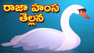 Telugu Songs For Kids | Raja Hamsa Tellana Song For Children | Animated Rhymes Songs | Telugu Rhymes