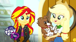 Equestria Girls - Pet Project | Canterlot Short Ep. 6 |