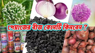 ‌06/10/2024 ‌পেয়া‌জের বী‌জের দর দাম | Onion seed price in Bangladesh 2024.