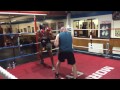 craig docherty sparring ally black 1