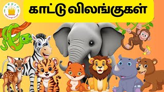 Learn Wild Animals Name Sound and Fun Fact in Tamil for Kids & children| Tamilarasi