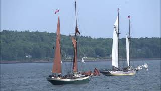 Schooners in Rockland Harbor