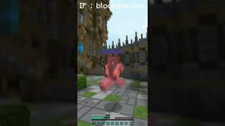 1v1 BlocksMc 2