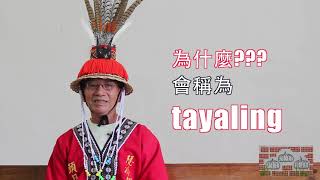 【阿美族文化說故事】野菜篇－第四集「車輪茄 Tayling」