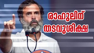 മോദി സമു​ദായത്തിനെതിരായ പരാമർശം; രാഹുൽ ​ഗാന്ധിക്ക് രണ്ട് വർഷം തടവ് ശിക്ഷ | Rahul Gandhi | Defamation