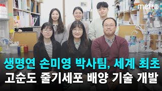 생명연 손미영 박사팀, 세계 최초 고순도 줄기세포 대량 배양 기술 개발