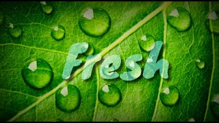 MBB - Fresh