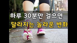 하루 30분만 걸으면 달라지는 놀라운 변화