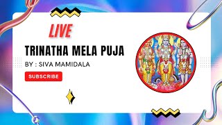 Trinatha Mela Puja Siva Mamidala Live Stream