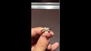 Mini Heart 0.12ctw Diamond Cluster Ring 14K White Gold