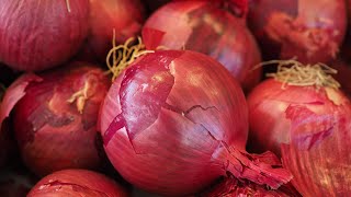 कांद्याचा नको असलेला वास या प्रमाणे घालवा | वर्षभर कांदा टिकवा | Easy Way to Preserve Onions