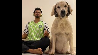 Shreyas Iyer most  funny moments | Dog | Dance | IPL 2020