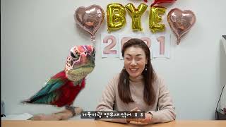 [김예지의 JOY로운 하루] 2021년을 떠나보내며, 밸런스 게임 해봤습니다!