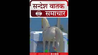 अद्भुत घोड़ा जो पीता है बिस्लेरी पानी #jaipur #viralvideo