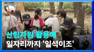 산림자원 활용에 일자리까지 '일석이조'  / KBS 2022.09.13.