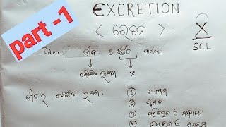 EXCRETION (ରେଚନ ) //PART-1//SCL//CLASS 10