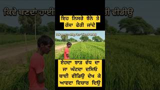 ਨਿਸਰੇ ਝੋਨੇ ਤੇ ਰੱਸਾ ਫੇਰਨ ਦਾ ਕਮਾਲ ਦੇਖੋ #punjab #farmersleader #agriculture #farming