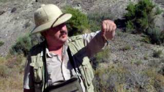 Captain Wayne and the Desert Hairy Scorpion.AVI