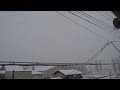 ぼたん雪