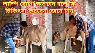 লাম্পি রোগের ক্ষতস্থান হলে কি চিকিৎসা করবেন জেনে নিন | lumpy skin disease treatment | লাম্পি স্কিন