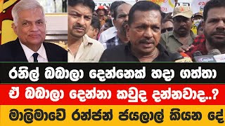 රනිල් හදාගත්ත බබාලා දෙන්නා කවුද දන්නවාද..? නැත්නම් රන්ජන් ජයලාල් කියන කතාව අහන්න | Malimawa | NPP