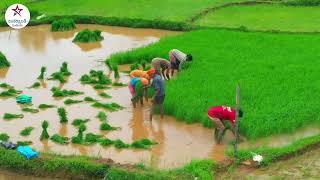 ರೈತರ ದಿನಾಚರಣೆಯ ಶುಭಾಶಯಗಳು