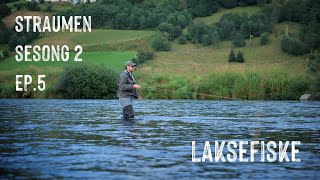 Straumen Sesong 2 EP 5 LAKSESTRAUMEN