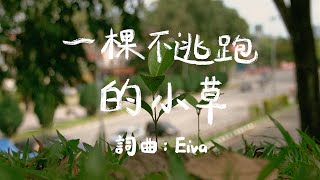 Eiva林麗謙 - 一棵不逃跑的小草【Official Lyric Video】