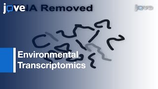 Analyzing Gene Expression From Marine Microbial Communities l Protocol Preview