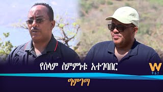 የሰላም ስምምነቱ አተገባበር ግምገማ