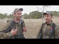 s3 ep 1 south australian fallow in the rut