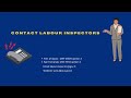 role of the labour inspectors of the ministry of labour