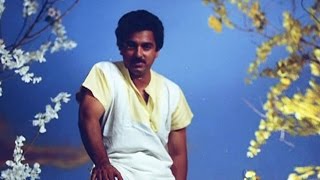 Tamil Songs | ஏதோ எண்ணம் வளர்த்தேன் | Yedhedho Ennam Valarthen | Ilaiyaraja Songs | Punnagai Mannan