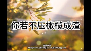 你若不压橄榄成渣 | 倪柝声