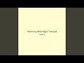 Harmony Moonlight Tranquil