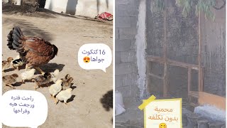 سويت محمية بدون اي تكلفه اول فيديو بل مزرعة 😍