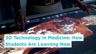 A fascinating look inside the human body | Anatomage Table