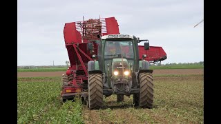 Rübenroden 2022/ Fendt 712 Vario TMS/ Tim KRB S 212